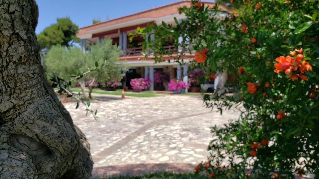 Hotel Brifs Shengjin Exterior photo